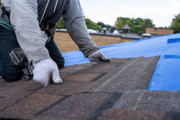 Best Best Roofing Contractors  in South Hill, VA